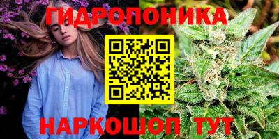 Альфа ПВП Бугуруслан