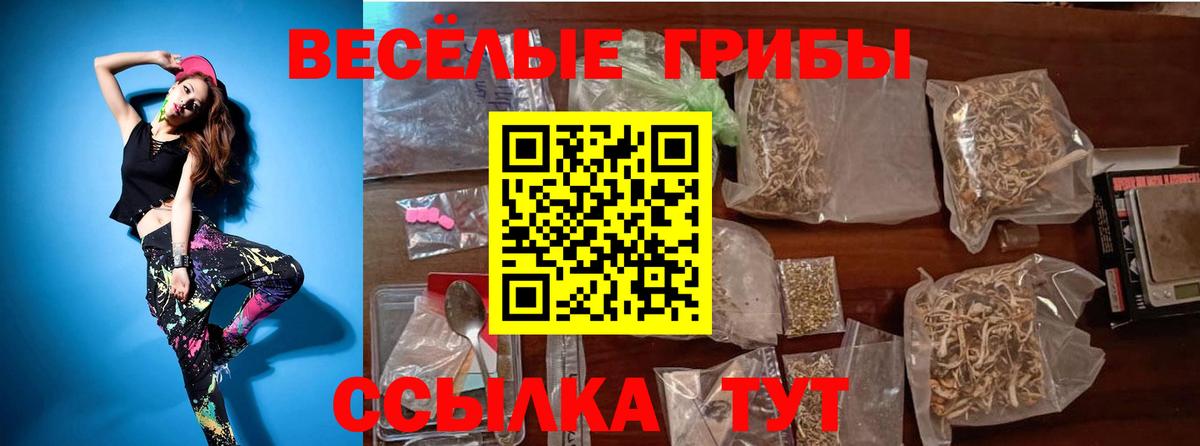 Липецк  Галлюциногенные грибы мицелий  Вход с VPN  Псилоцибиновые грибы Cubensis 