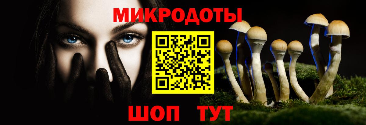Галлюциногенные грибы прущие грибы Липецк